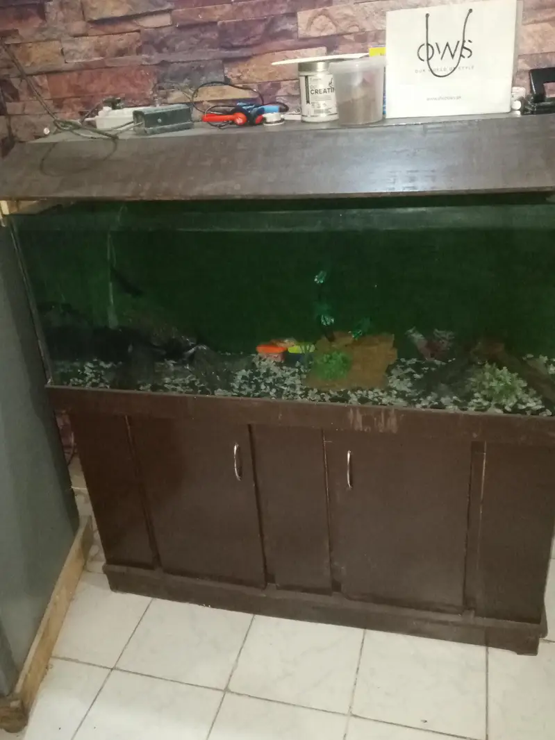 4 feet fish aquarium