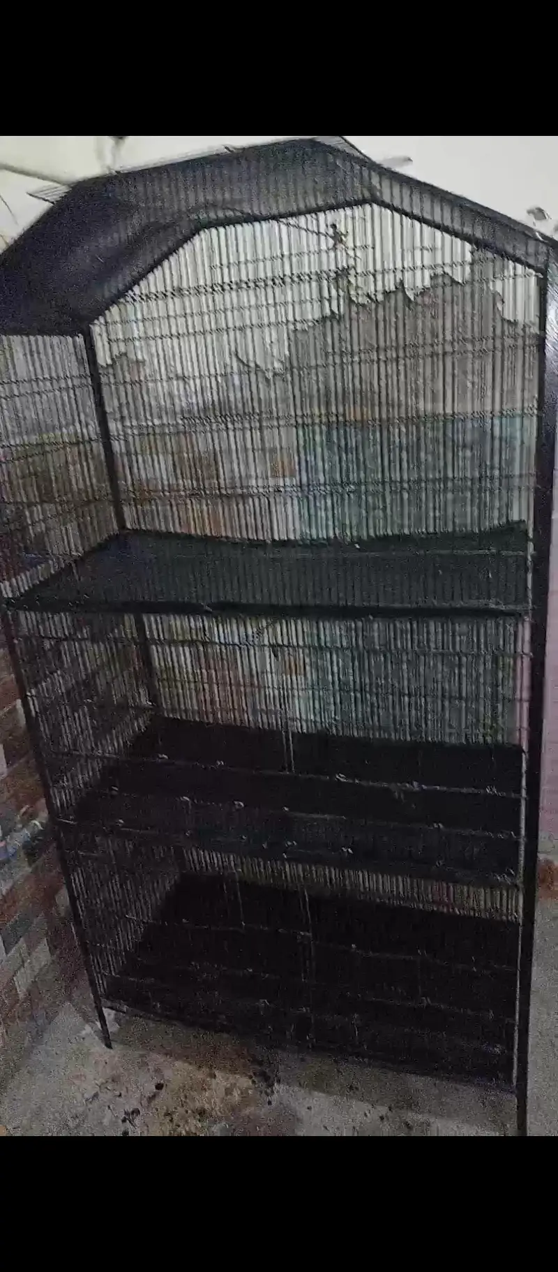 Black Iron Cage Slightly Plates Cracked — photo 3