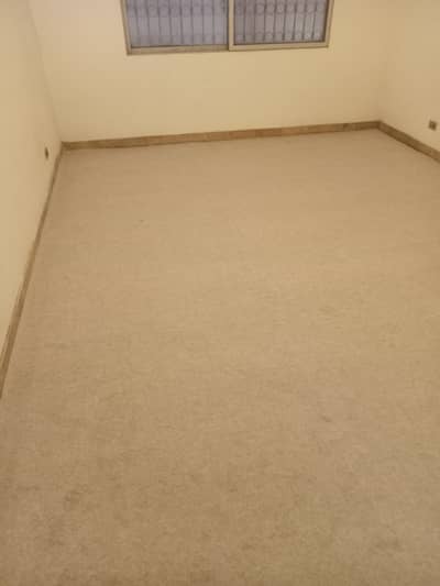 Brand new carpet