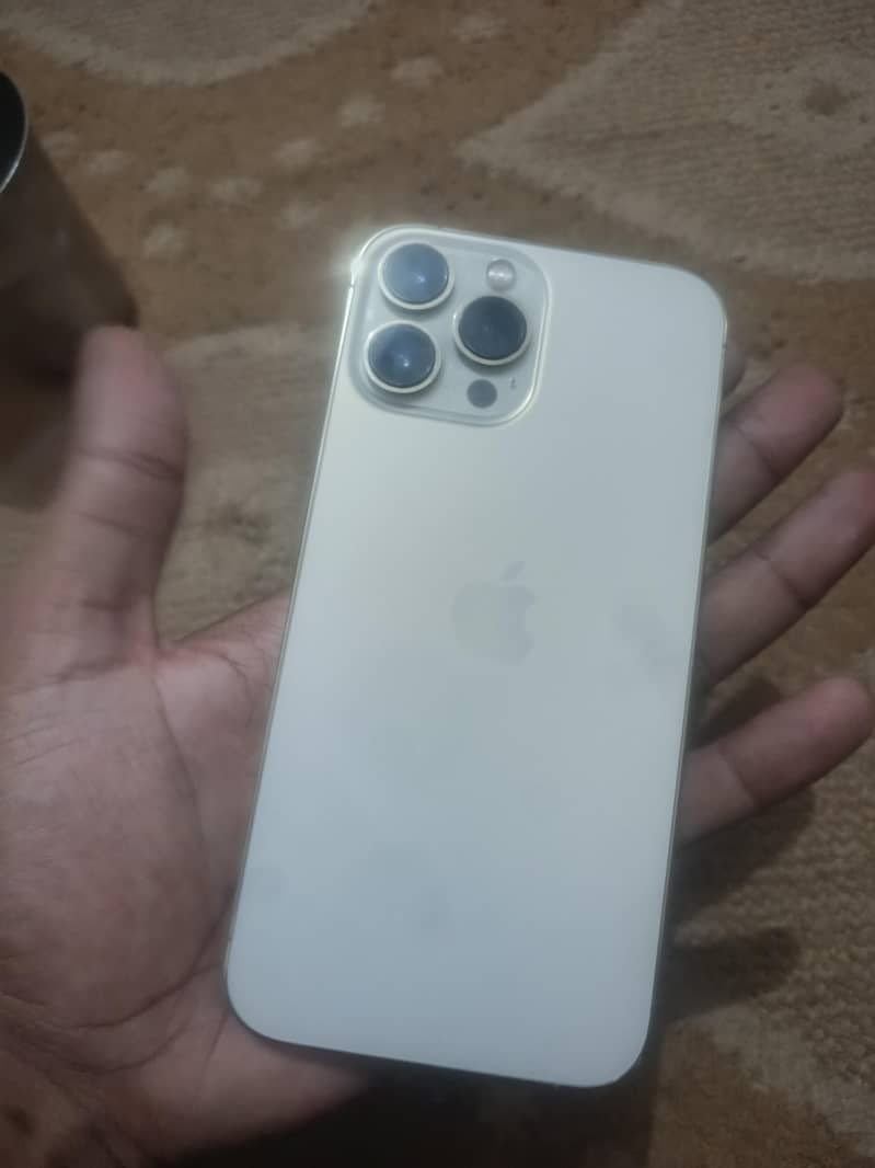 Apple iPhone 13 Pro Max 1