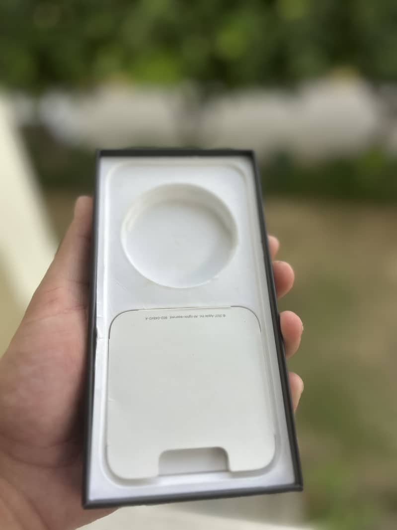 Apple iPhone 13 Pro Max. 6