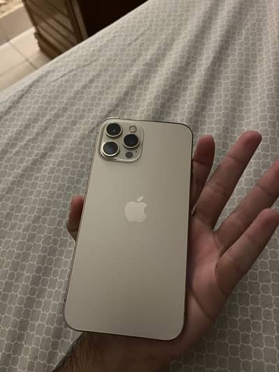 Apple iPhone 12 Pro Max
