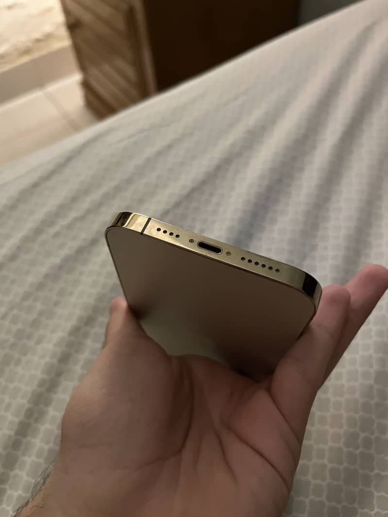 Apple iPhone 12 Pro Max 2