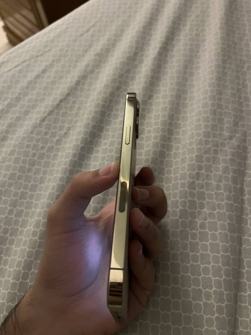 Apple iPhone 12 Pro Max 3