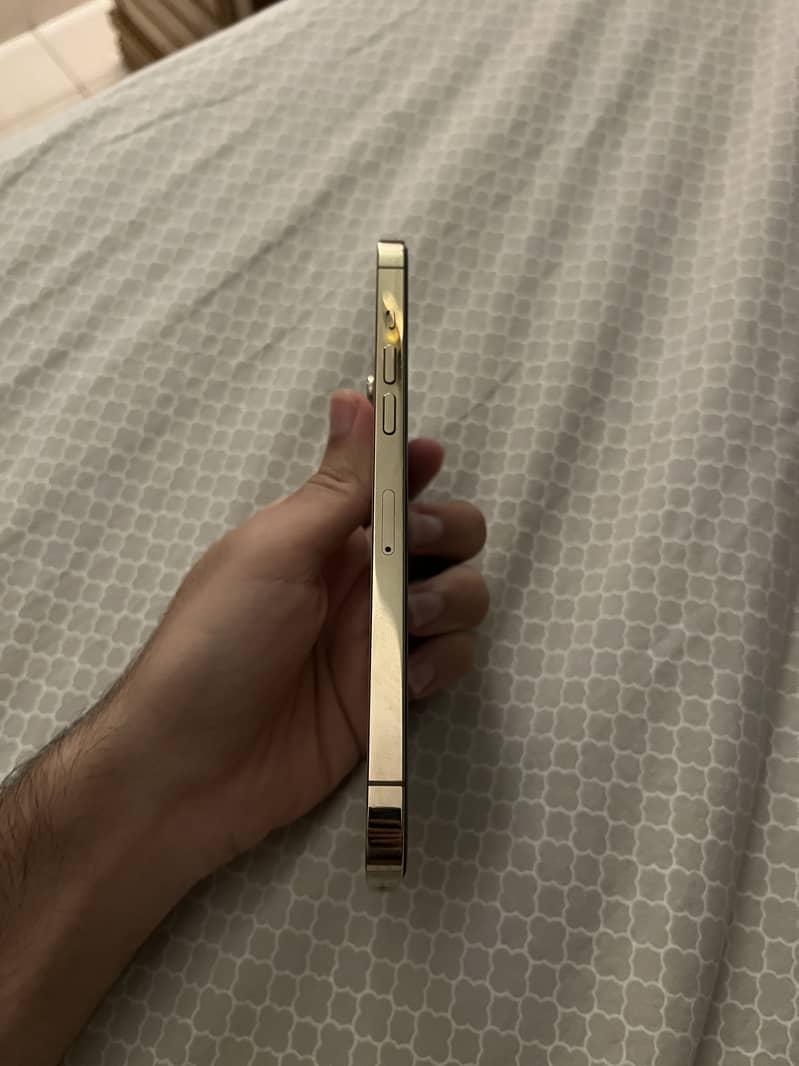 Apple iPhone 12 Pro Max 4
