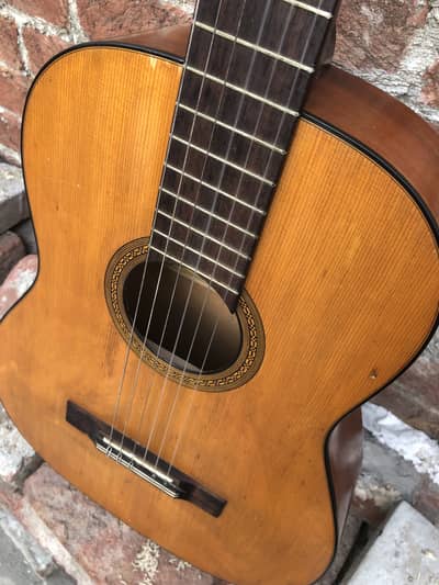Schaller Scholar n007 classical