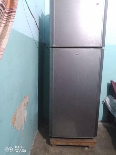 pel fridge