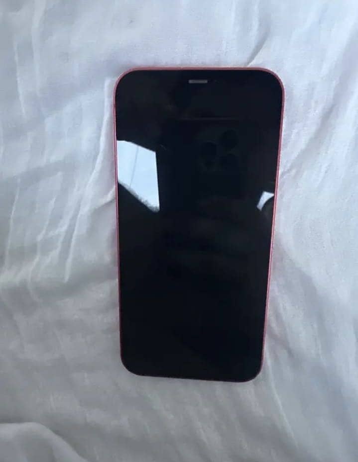 Apple iPhone 12 2