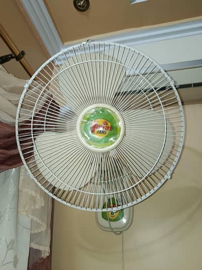URGENT Yunas Bracket Fans