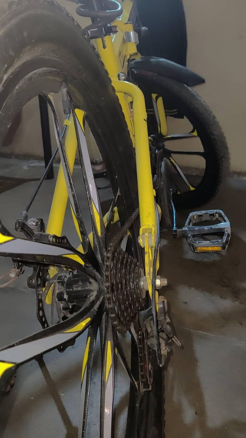 Morgan folding cycle 6