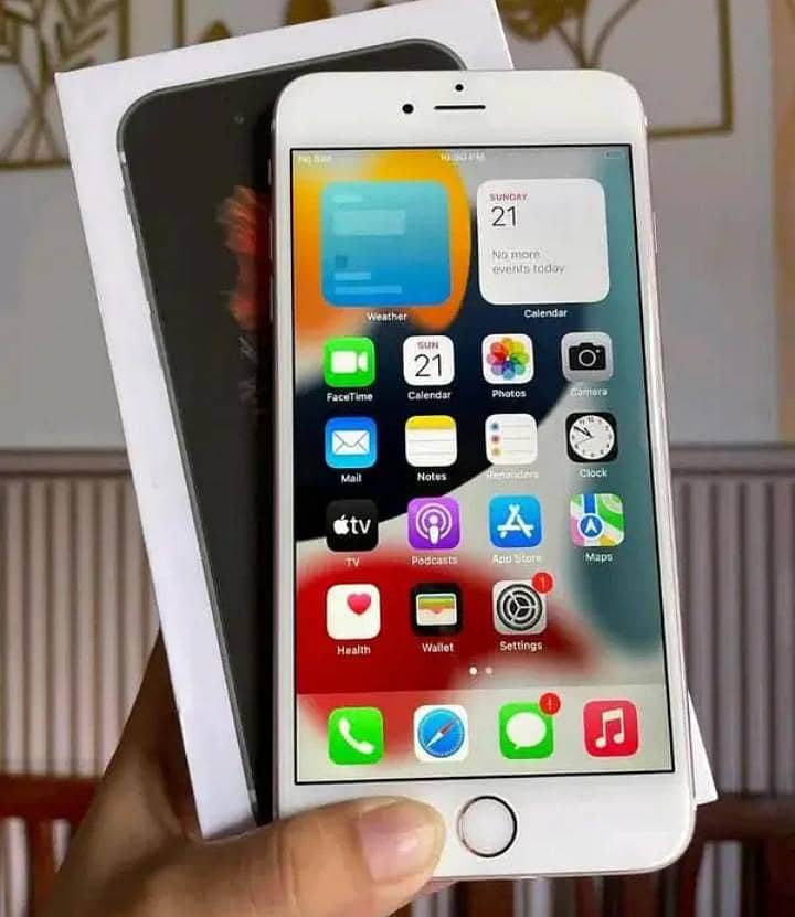 Apple iPhone 6S 1