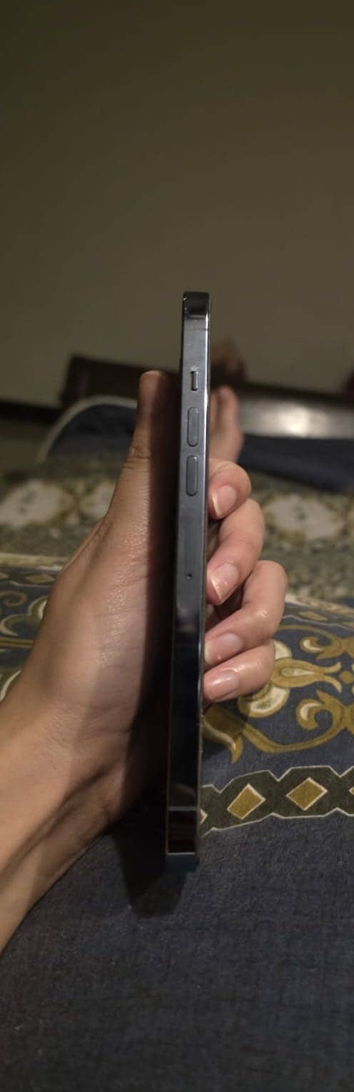 Apple iPhone 13 Pro Max 0