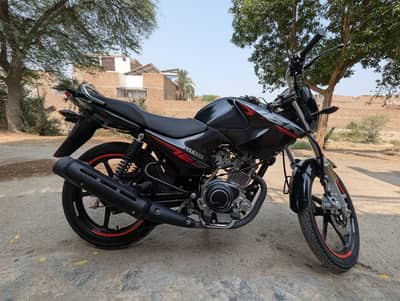 Yamaha ybr 125 std