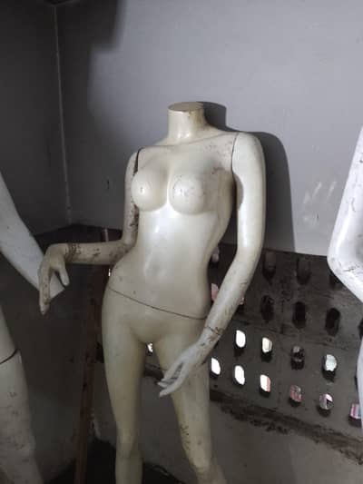 maniquenne