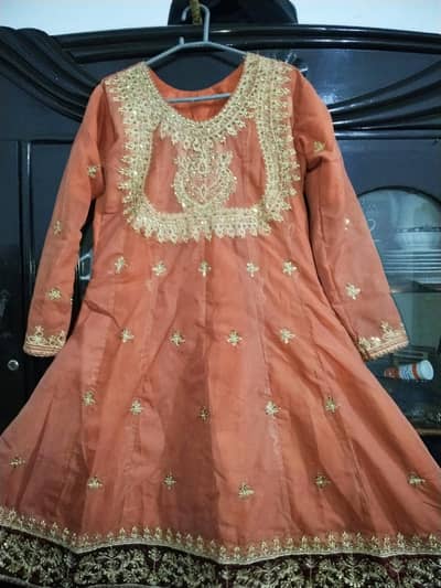 for barat function and party dress