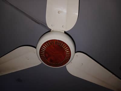 indus ac dc fan