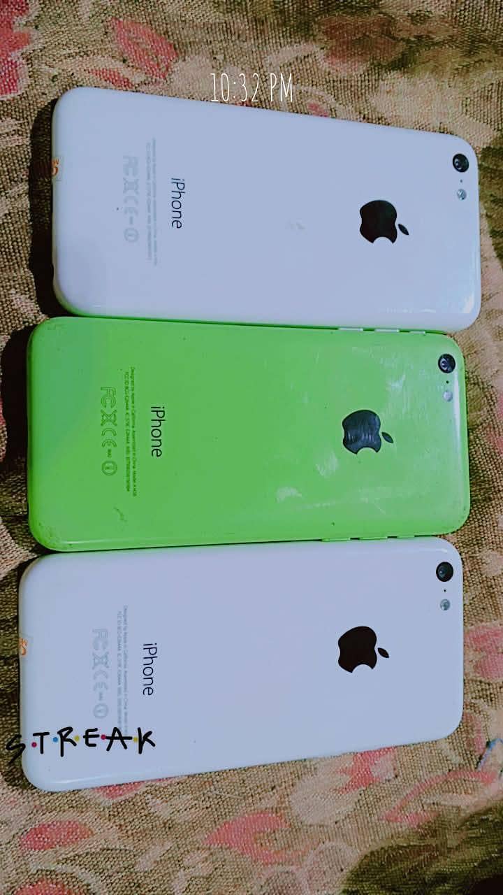 ipona 1