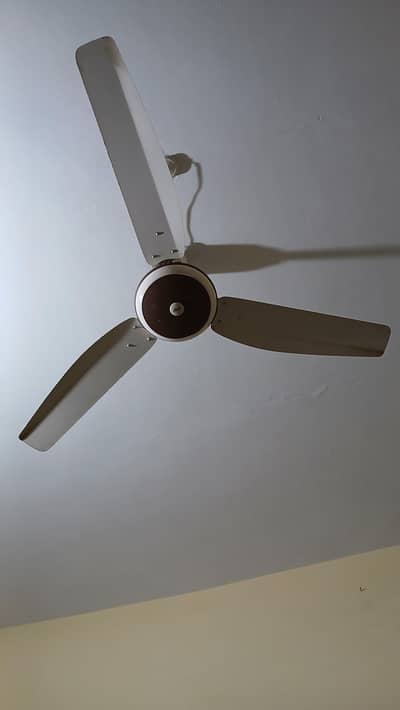 Fan for sale