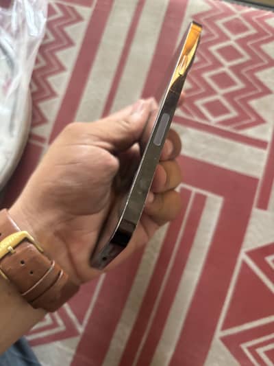 Apple iPhone 12 Pro Max(exchange possible)
