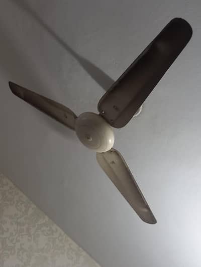 2 SK fan for sale