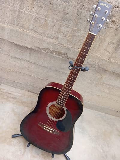 Semi/Electric Professional Acoustic Guitar (Branded Guitar)