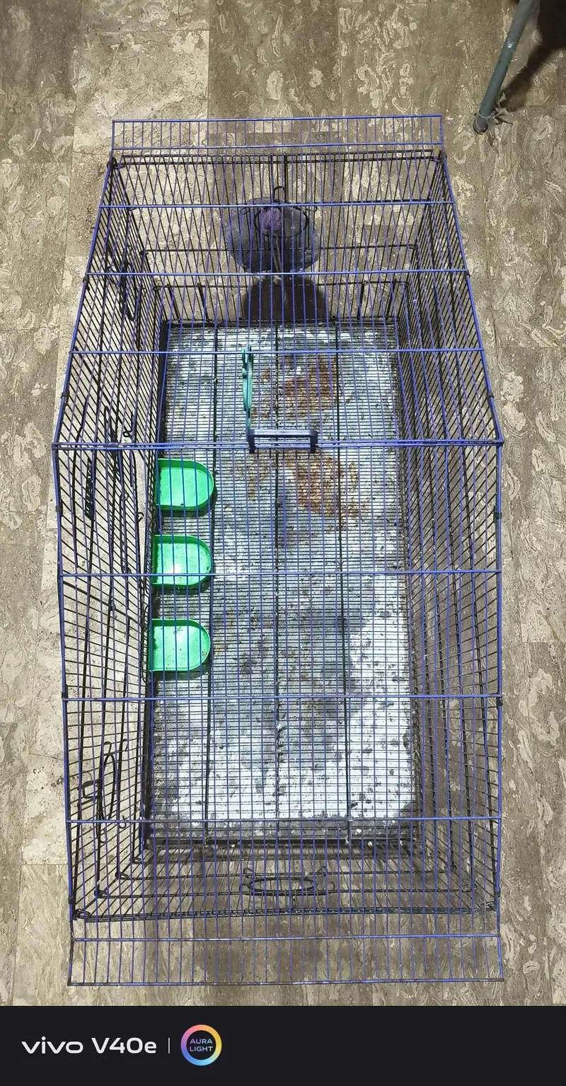 pinjra For Sale