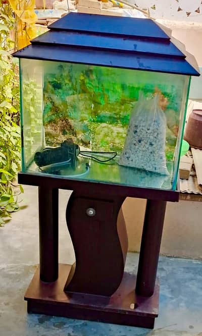 Fish Acquarium with stylish wooden stand