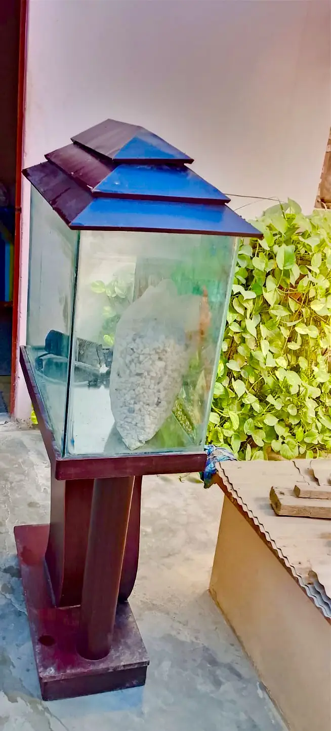 Fish Acquarium with stylish wooden stand — photo 2