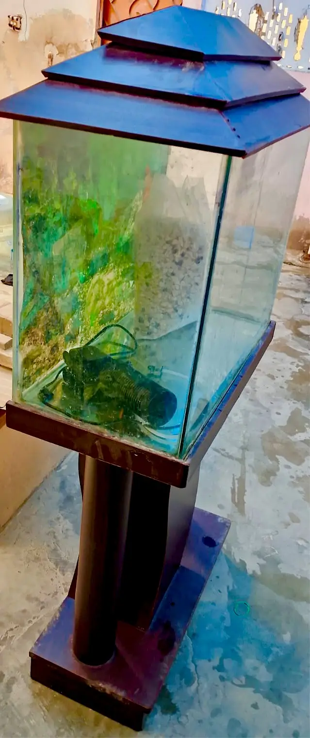 Fish Acquarium with stylish wooden stand — photo 3