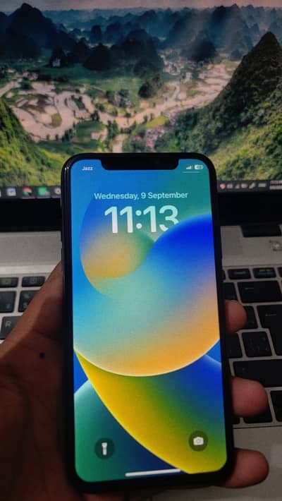 Apple iPhone X