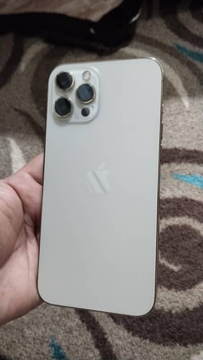 Apple iPhone 12 Pro Max