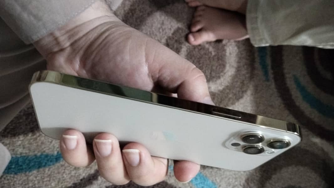 Apple iPhone 12 Pro Max 2