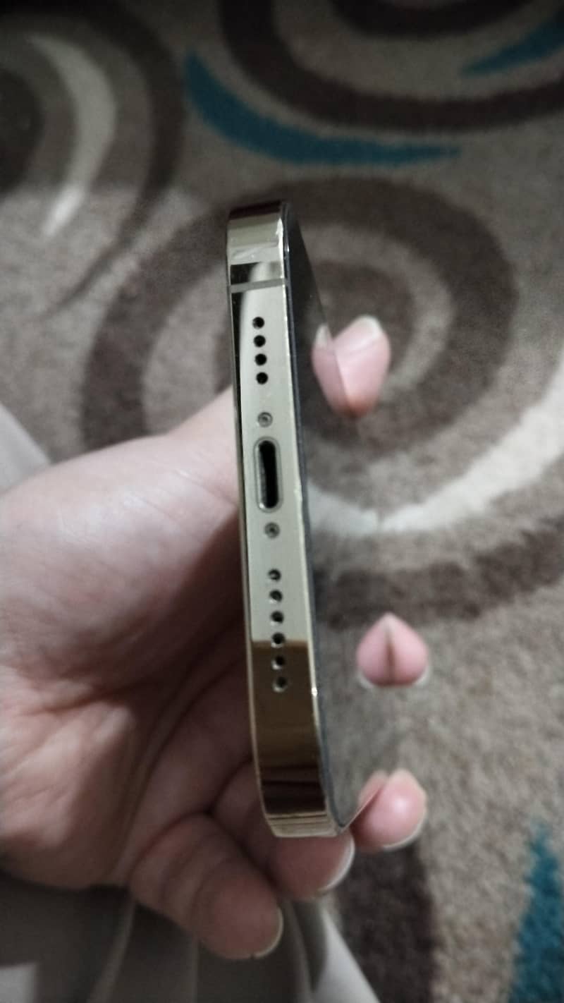 Apple iPhone 12 Pro Max 4