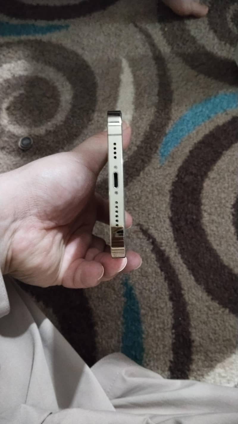 Apple iPhone 12 Pro Max 5