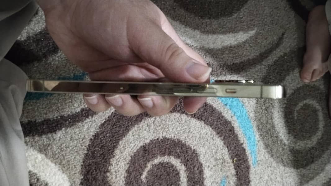 Apple iPhone 12 Pro Max 6