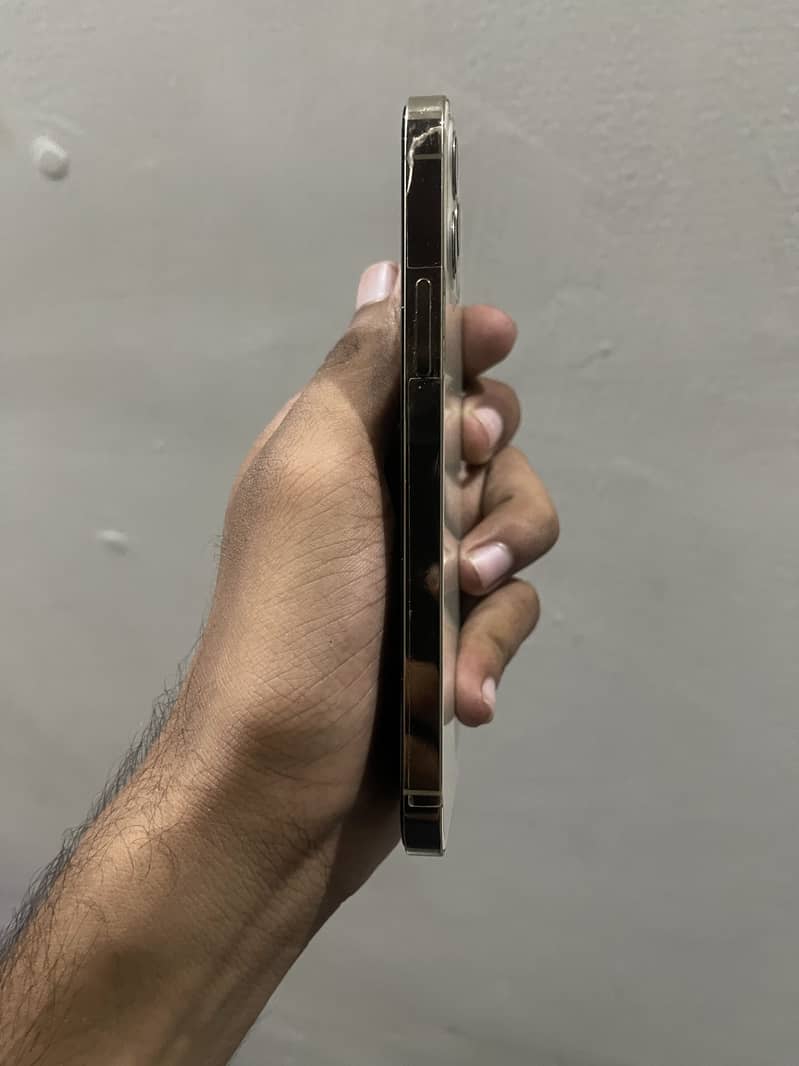 Apple iPhone 12 1