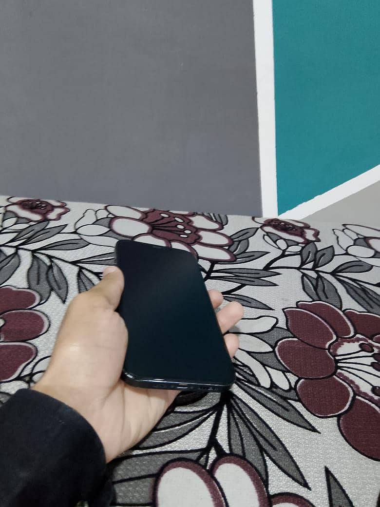 Apple iPhone 12 Pro Max 0