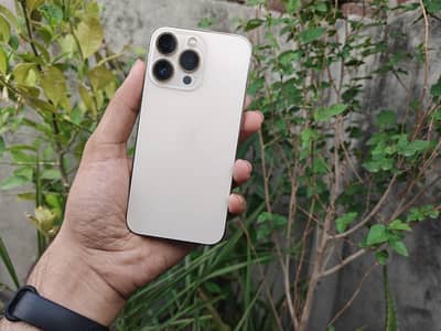 Apple iPhone 13 Pro