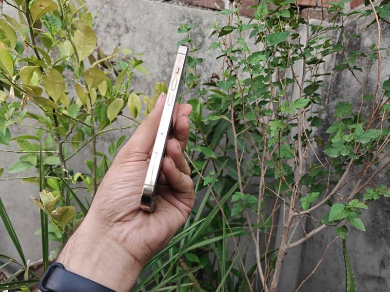 Apple iPhone 13 Pro 5