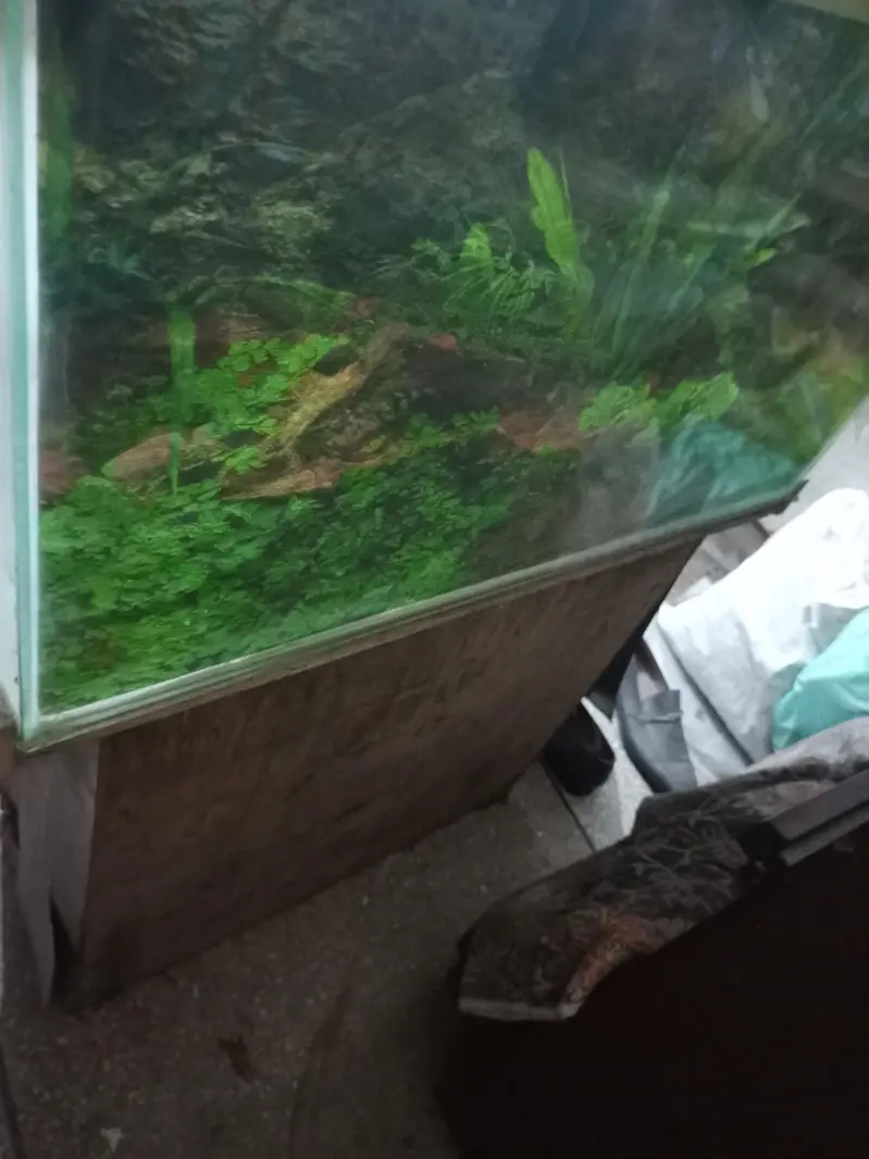 Aquarium for sale All ok read Ad carefully — photo 3