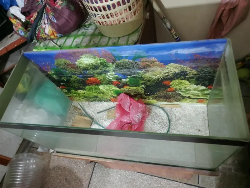 Aquarium for sale All ok read Ad carefully — photo 4
