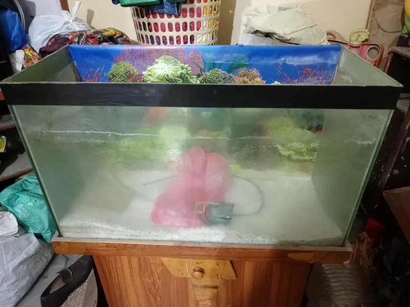 Aquarium for sale All ok read Ad carefully — photo 8