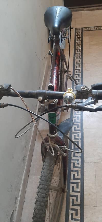 Poney Bike Cycle