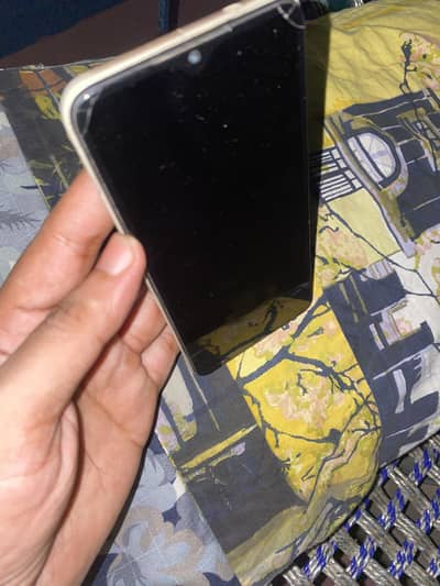 Vivo2024