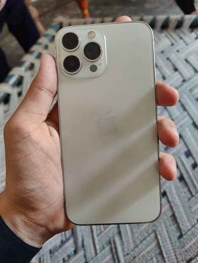 Apple iPhone 13 Pro Max