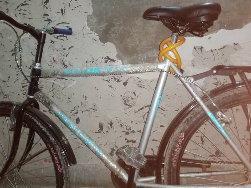 bicycle 2