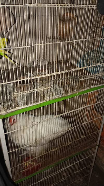 3 Portion Cage and Small Cage