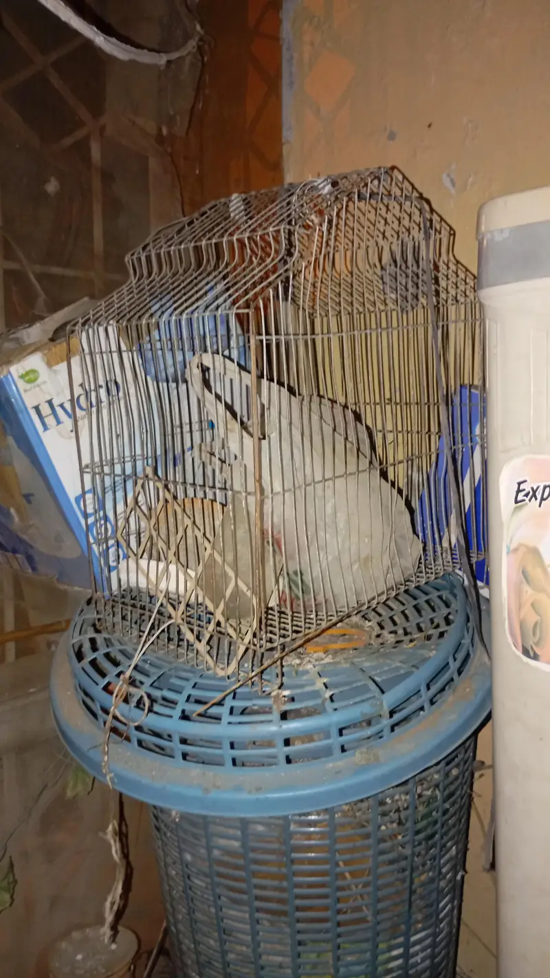 3 Portion Cage and Small Cage — photo 4