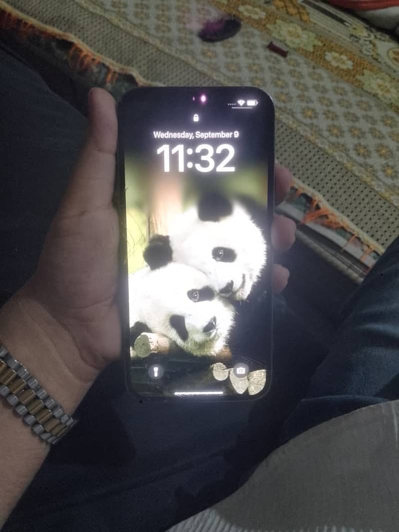 Apple iPhone 13 Pro Max 2