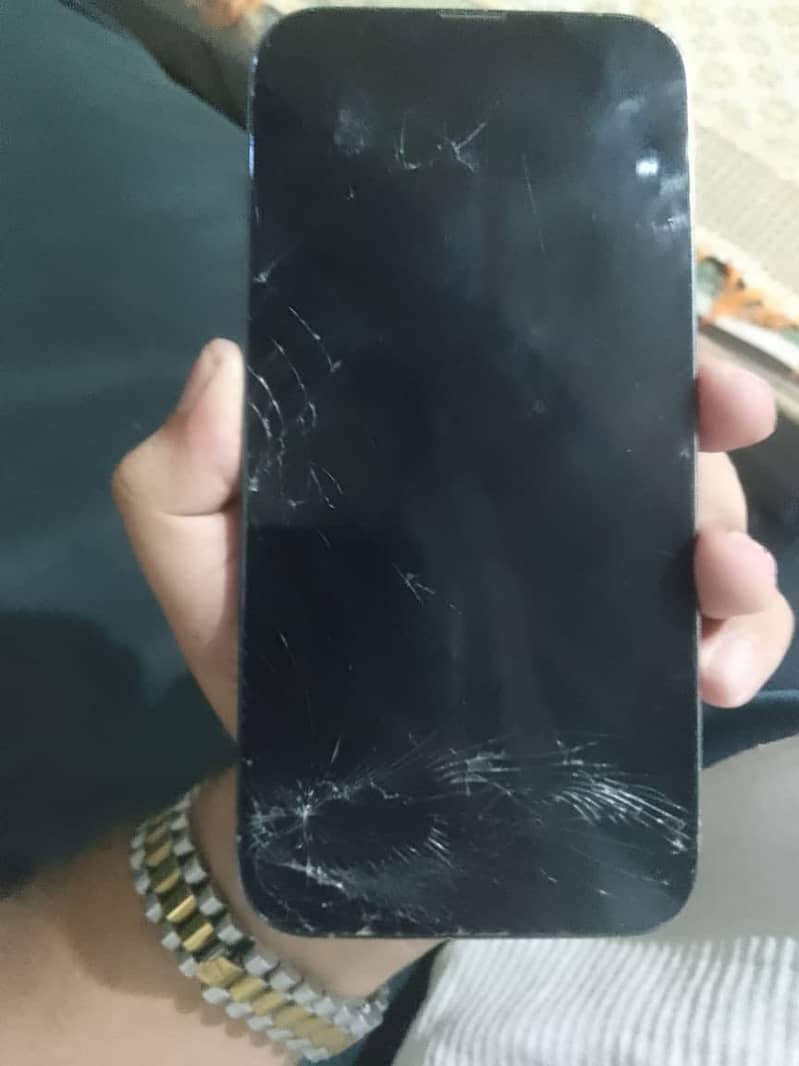 Apple iPhone 13 Pro Max 9